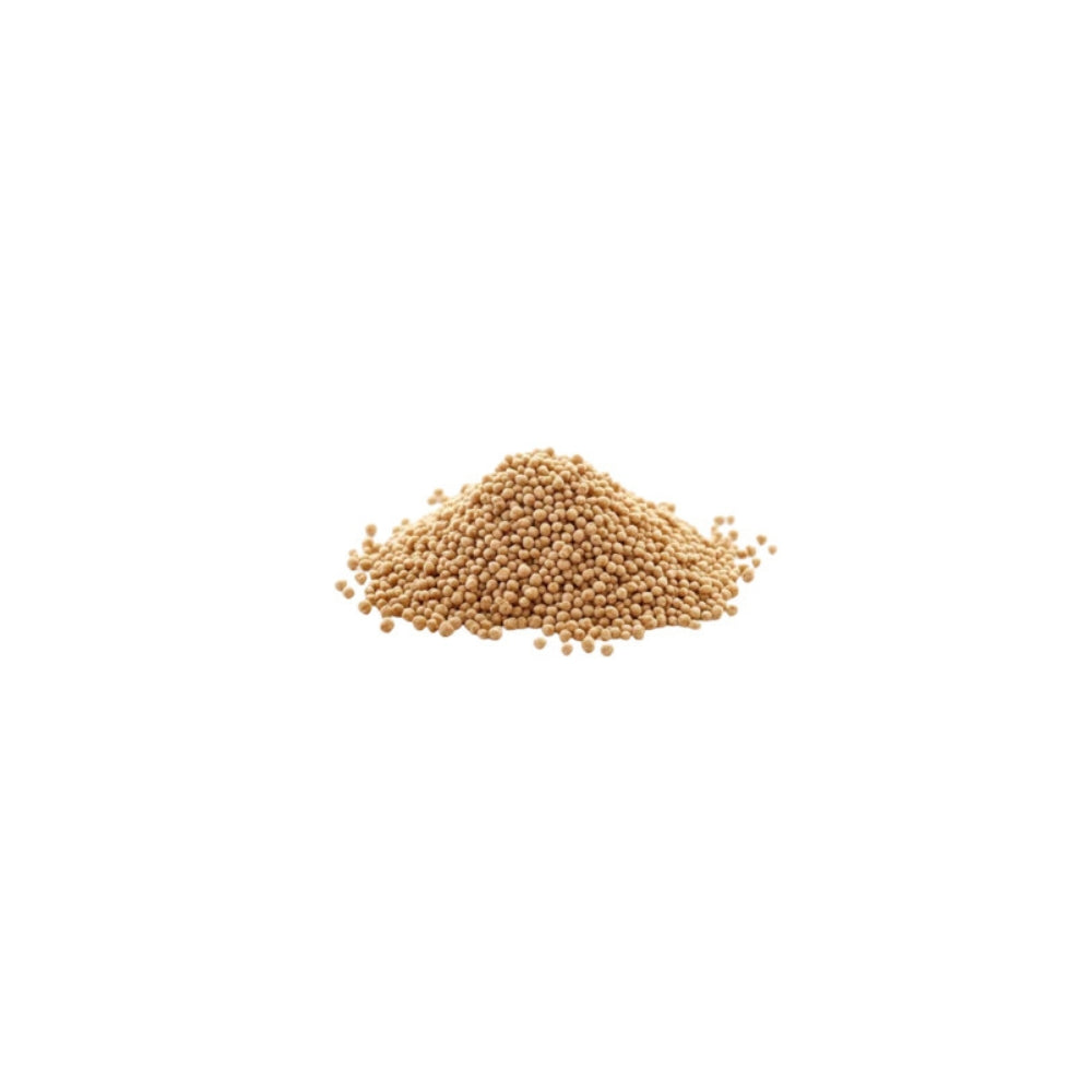 White mustard seeds Shada Shorisha close up
