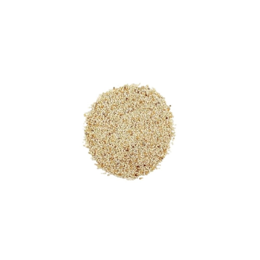 White poppy seeds Postodana close up