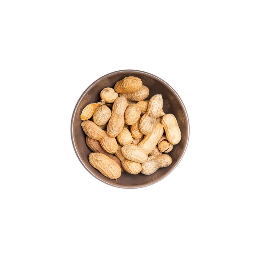 Premium Gourmet In-Shell Peanuts